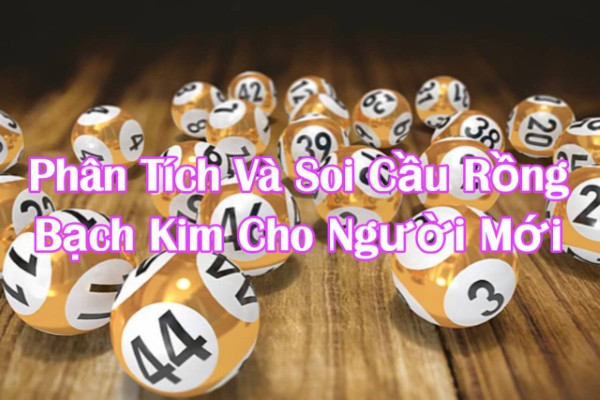 Phân Tích Và Soi Cầu Rồng Bạch Kim Dành Cho Người Mới Tìm Hiểu