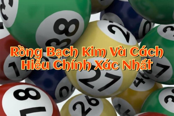 Rồng Bạch Kim Và Cách Hiểu Chính Xác Nhất