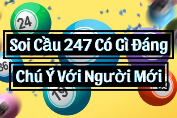 Soi Cầu 247 Có Gì Đáng Chú Ý Với Người Mới
