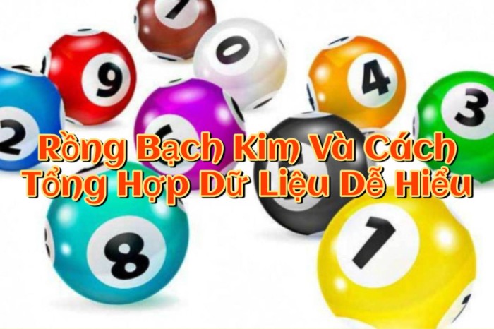 Soi Cầu Rồng Bạch Kim Và Cách Tổng Hợp Dữ Liệu Dễ Hiểu