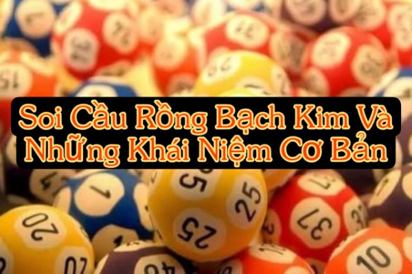 Soi Cầu Rồng Bạch Kim Và Những Khái Niệm Cơ Bản Cần Nắm Rõ