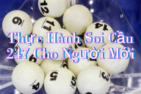 Chọn lọc loại cầu để bắt đầu