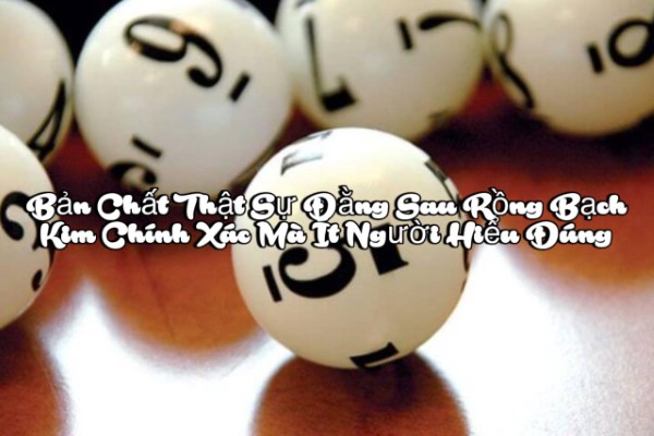 “Chính xác” không phải là khả năng dự đoán