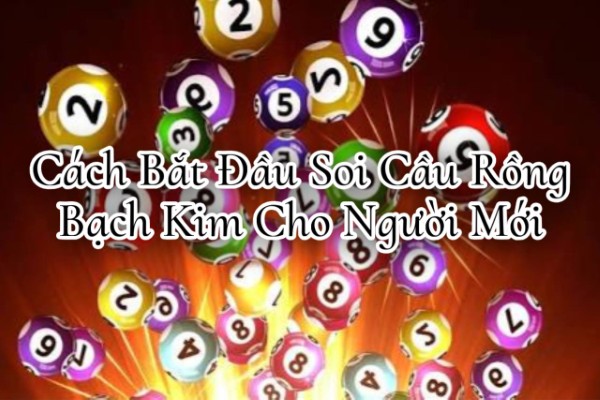 Làm quen với dữ liệu thay vì phân tích ngay