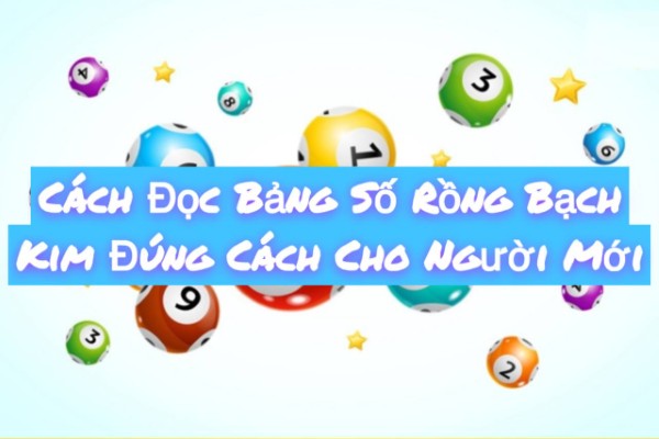 Bắt đầu từ cái nhìn tổng quan trước khi đi vào chi tiết