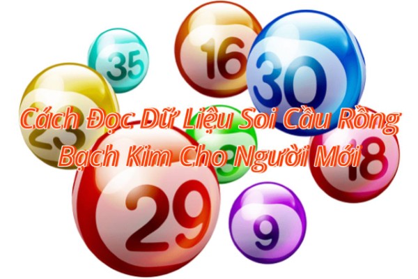 Cách Đọc Dữ Liệu Soi Cầu Rồng Bạch Kim Cho Người Mới
