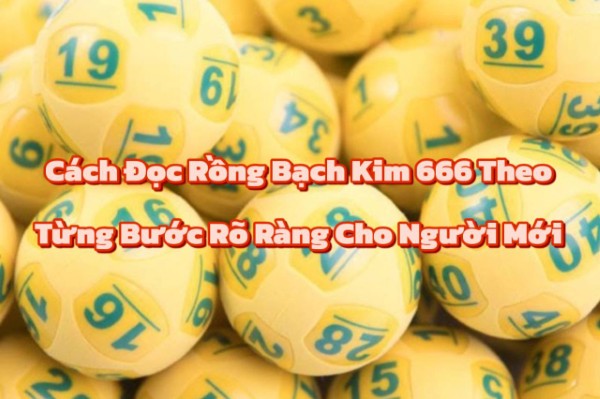 Quan sát toàn bộ bảng trước khi phân tích