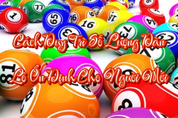 Xây thói quen đọc dữ liệu theo một cấu trúc cố định