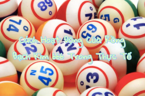 Dữ liệu được hình thành từ đâu?