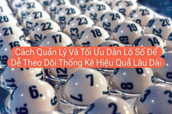 Duy trì và cập nhật dàn lô số theo dữ liệu thực tế