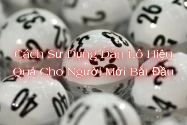 Xây dựng dàn lô từ dữ liệu thực tế