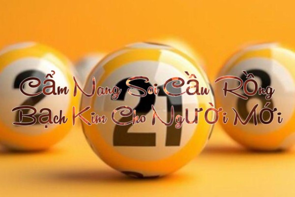 Cẩm Nang Soi Cầu Rồng Bạch Cho Người Mới Bắt Đầu