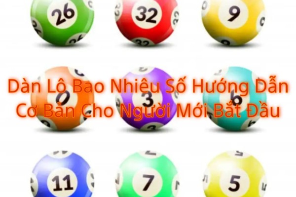 Dàn Lô Bao Nhiêu Số Hướng Dẫn Cơ Bản Cho Người Mới Bắt Đầu