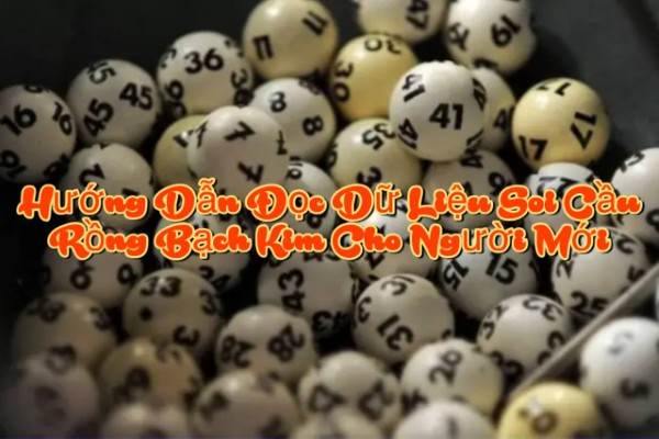 Làm quen với cách hiển thị dữ liệu