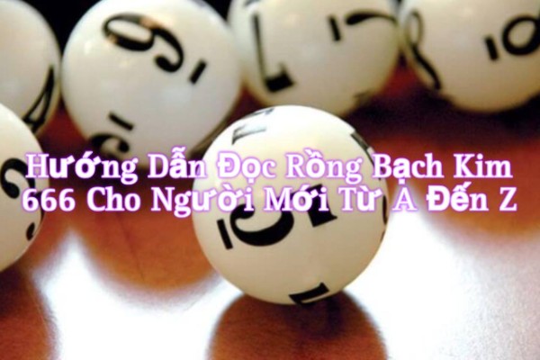 Hướng Dẫn Đọc Rồng Bạch Kim 666 Cho Người Mới từ A Đến Z