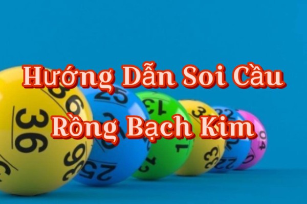 Bắt đầu từ việc quan sát dữ liệu thay vì “đoán số”