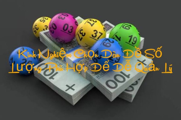 Kinh Nghiệm Chọn Dàn Đề Số Lượng Phù Hợp Để Dễ Quản Lý