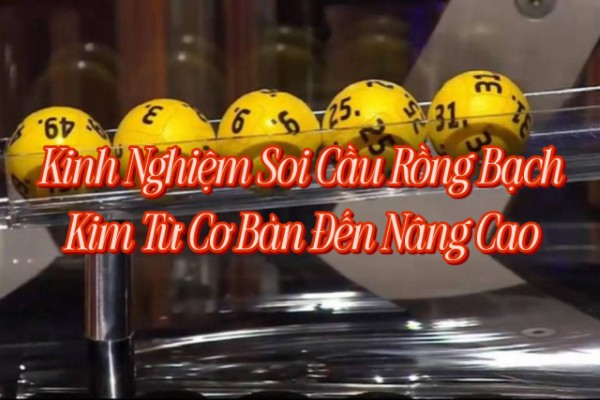Kinh Nghiệm Soi Cầu Rồng Bạch Kim Từ Cơ Bản Đến Nâng Cao