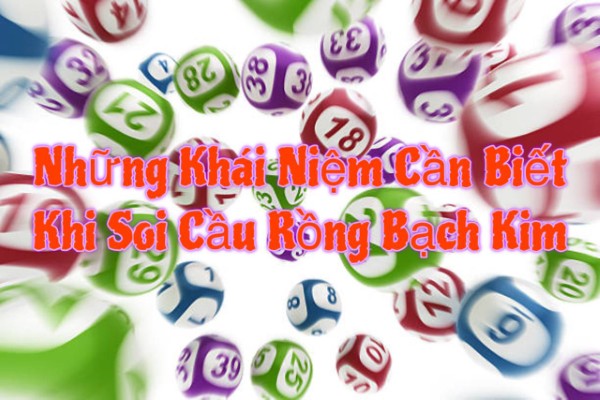 Những Khái Niệm Cần Biết Khi Soi Cầu Rồng Bạch Kim