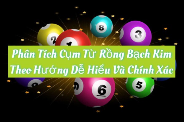 Phân Tích Cụm Từ Rồng Bạch Kim Theo Hướng Dễ Hiểu Và Chính Xác