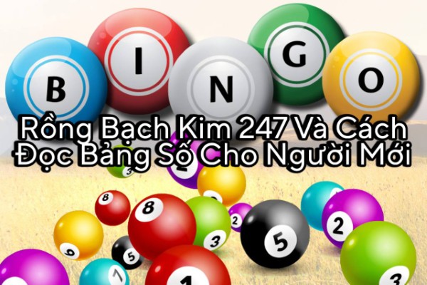 Rồng Bạch Kim 247 Và Cách Đọc Bảng Số Cho Người Mới