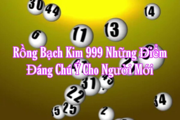 Rồng Bạch Kim 999 Những Điểm Đáng Chú Ý Dành Cho Người Mới
