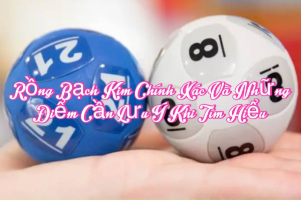 Rồng Bạch Kim Chính Xác Và Những Điểm Cần Lưu Ý Khi Tìm Hiểu