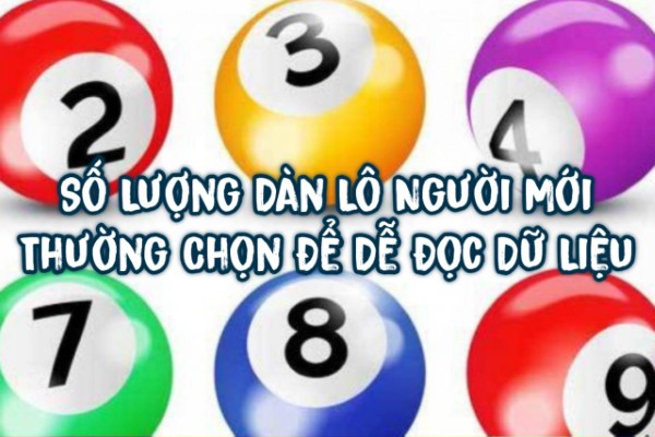 Số Lượng Dàn Lô Người Mới Thường Chọn Để Dễ Đọc Dữ Liệu