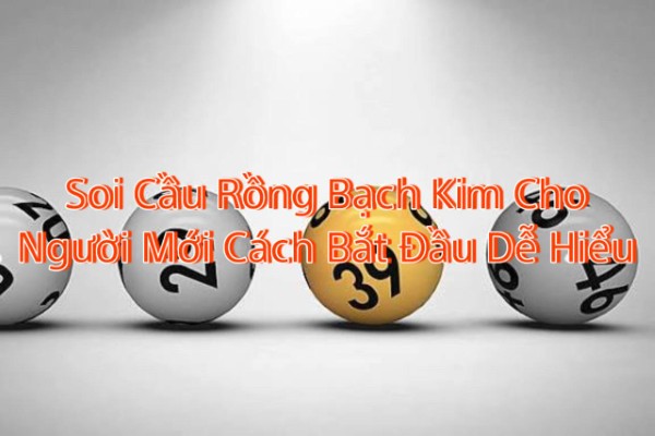 Soi Cầu Rồng Bạch Kim Cho Người Mới Cách Bắt Đầu Dễ Hiểu