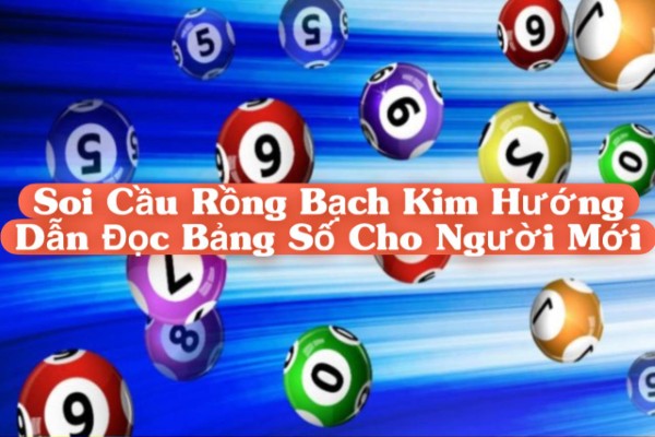 Soi Cầu Rồng Bạch Kim Hướng Dẫn Đọc Bảng Số Cho Người Mới Bắt Đầu