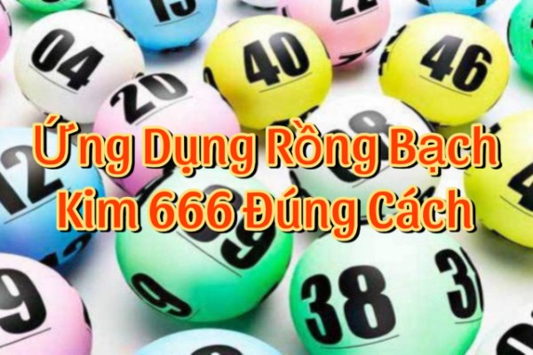 Cách nhìn thực tế khi “ứng dụng” Rồng Bạch Kim 666