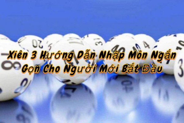 Xiên 3 Hướng Dẫn Nhập Môn Ngắn Gọn Cho Người Mới Bắt Đầu