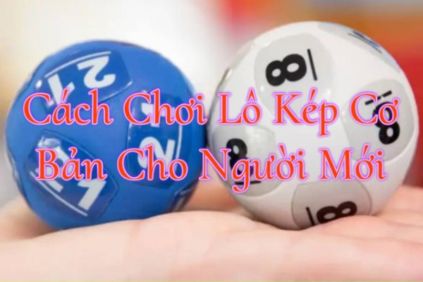 Cách nhận biết và chọn lô kép