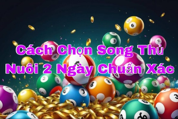 Dựa vào cầu lô đẹp