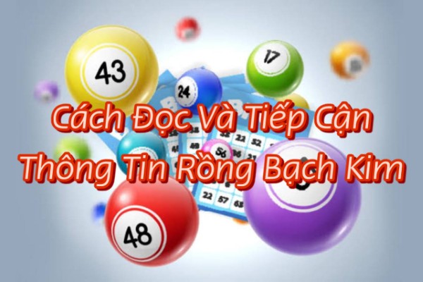 Hiểu đúng bản chất dữ liệu thay vì tin vào kết quả tuyệt đối