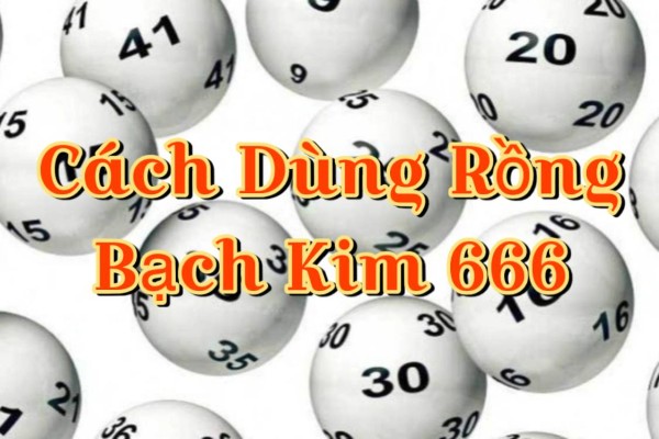 Làm quen với hệ thống và giao diện dữ liệu