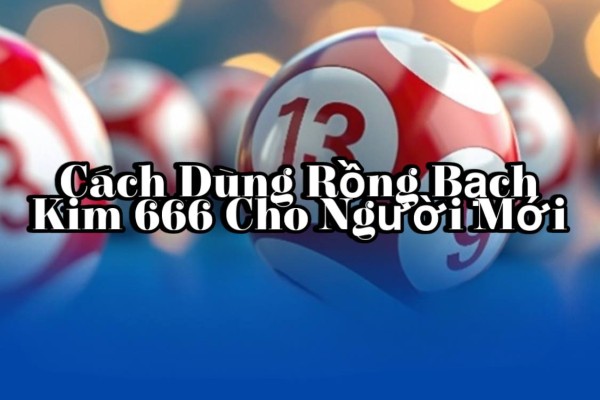 Cách Dùng Rồng Bạch Kim 666 Cho Người Mới