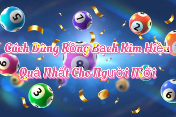 Chọn đúng thời điểm tra cứu dữ liệu