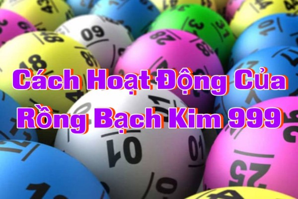 Thống kê tần suất xuất hiện của con số