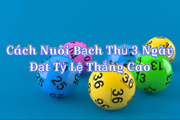 Cách Nuôi Bạch Thủ 3 Ngày Đạt Tỷ Lệ Thắng Cao