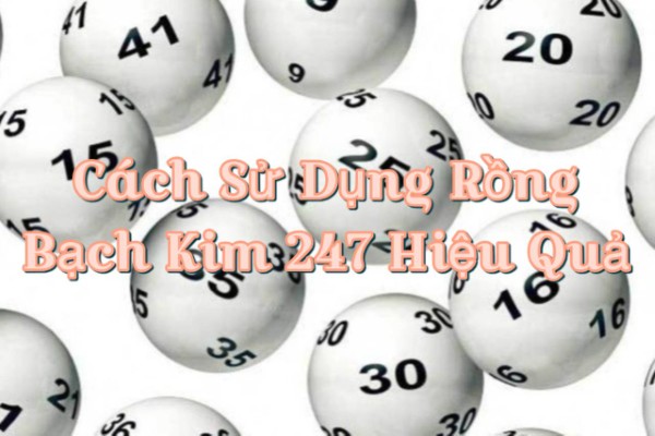 Cách Sử Dụng Rồng Bạch Kim 247 Hiệu Quả