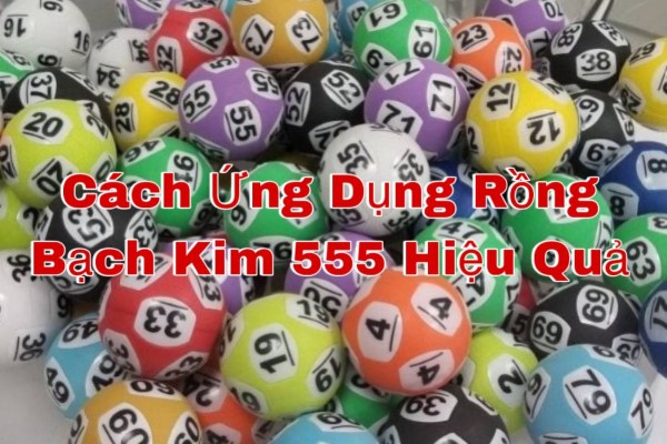 Cách đọc và sử dụng bảng số từ Rồng Bạch Kim 555
