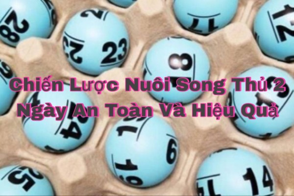 Quản lý vốn khi nuôi song thủ 2 ngày