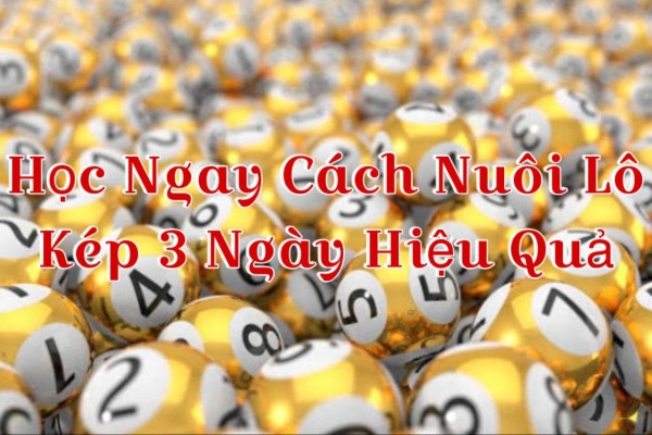 Học Ngay Cách Nuôi Lô Kép 3 Ngày Hiệu Quả