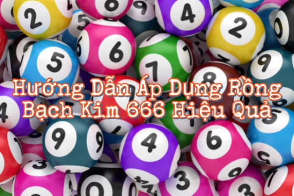 Các bước cơ bản cho người mới