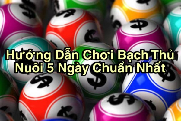 Hướng Dẫn Chơi Bạch Thủ Nuôi 5 Ngày Chuẩn Nhất