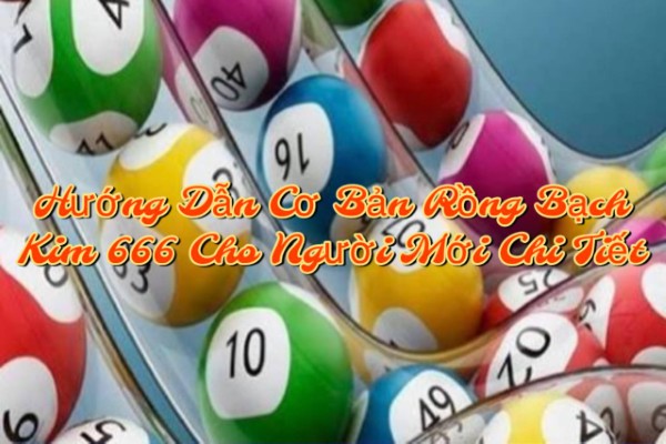 Hướng Dẫn Cơ Bản Rồng Bạch Kim 666 Cho Người Mới Chi Tiết