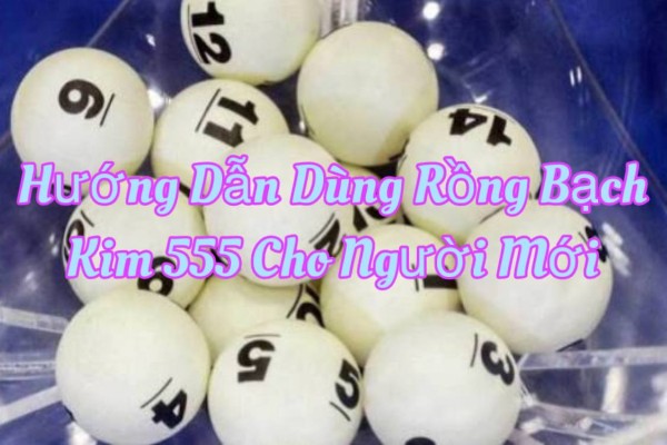 Hướng Dẫn Dùng Rồng Bạch Kim 555 Cho Người Mới