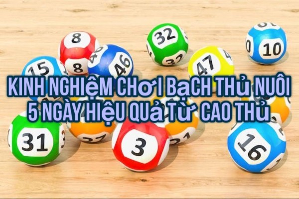Cách chọn bạch thủ dựa trên thống kê thực tế