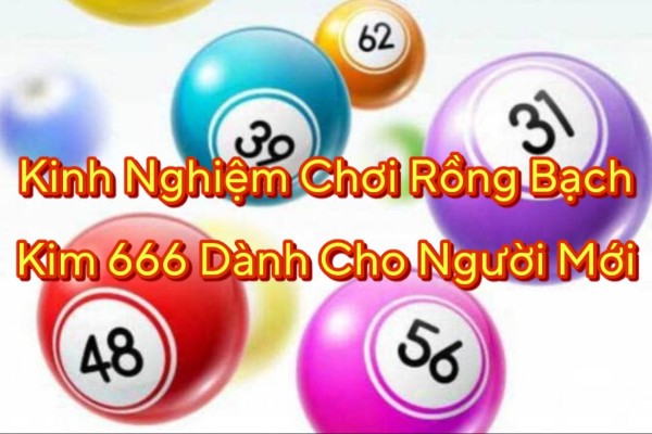 Luôn cập nhật dữ liệu xổ số mỗi ngày